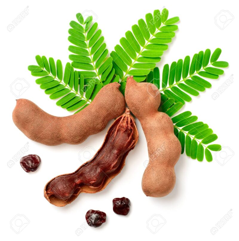 Medicinal plants: natural wisdom at the service of your health - Image 2