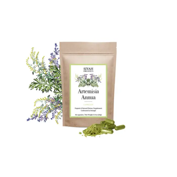 Capsules Artemisia annua (Absinthe)