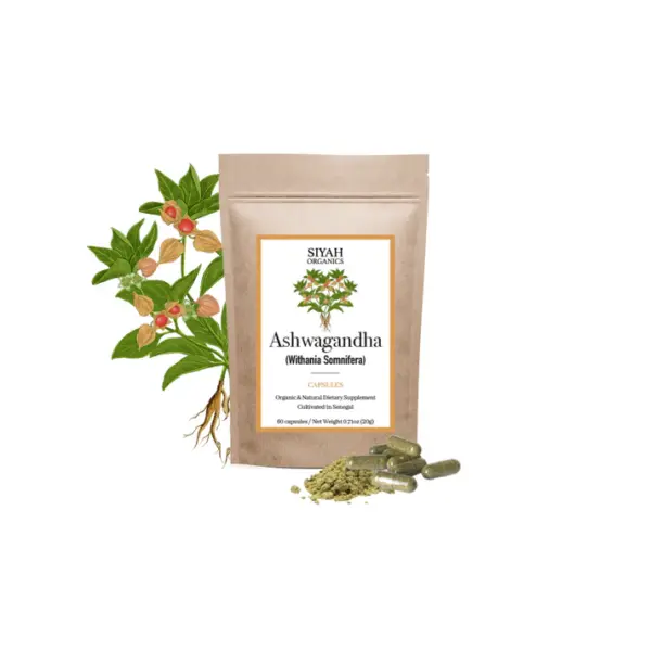 Ashwagandha (Withania Somnifera) Gélules