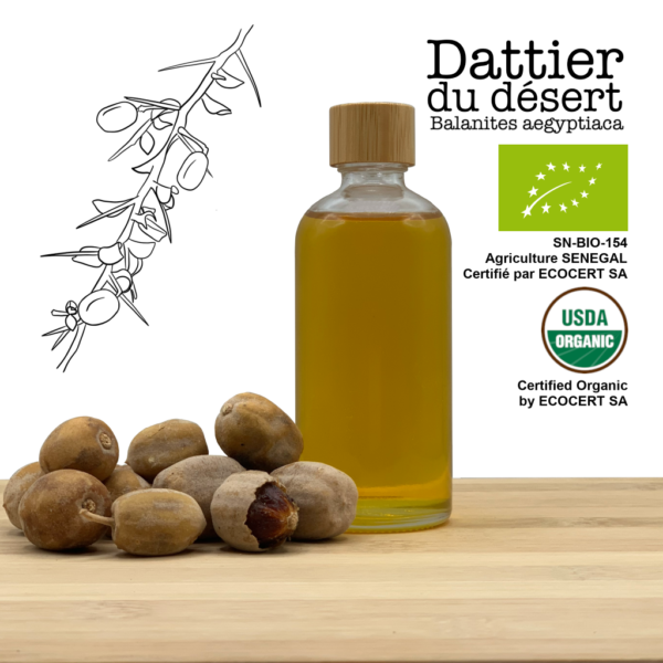 Huile de datte du désert biologique - Pressée à froid (100% pure) Balanites aegyptiaca