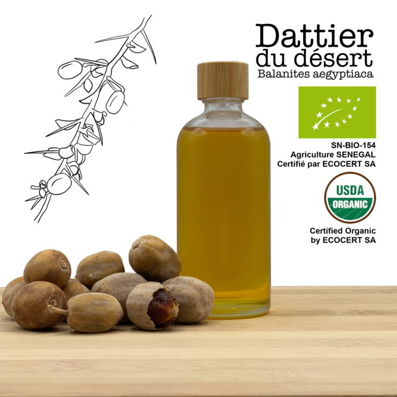 Huile de datte du désert biologique - Pressée à froid (100% pure) Balanites aegyptiaca