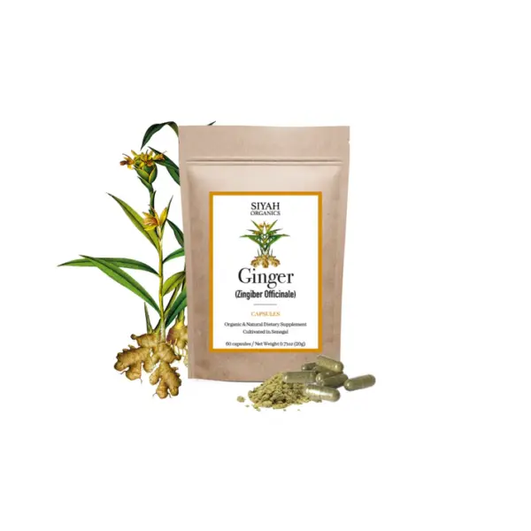 Jengibre (Zingiber officinale)