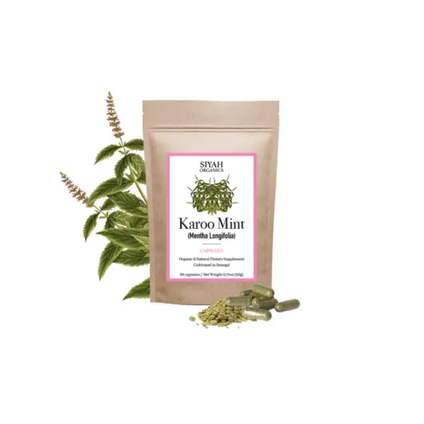 Menta Karoo (Mentha longifolia)