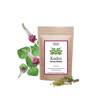 Kudzu - "One-foot-per-night creeper" (Pueraria Montana)