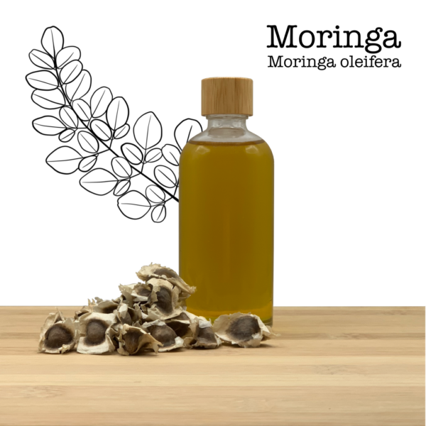 Huile de Moringa - Pressée à froid (100% pure) Moringa oleifera