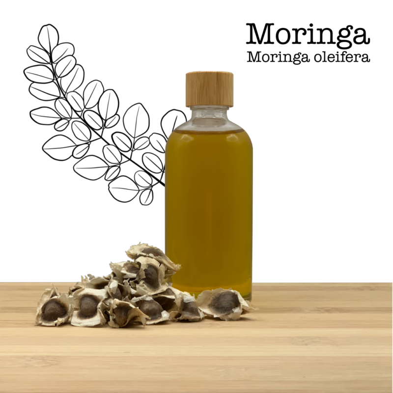 Huile de Moringa - Pressée à froid (100% pure) Moringa oleifera