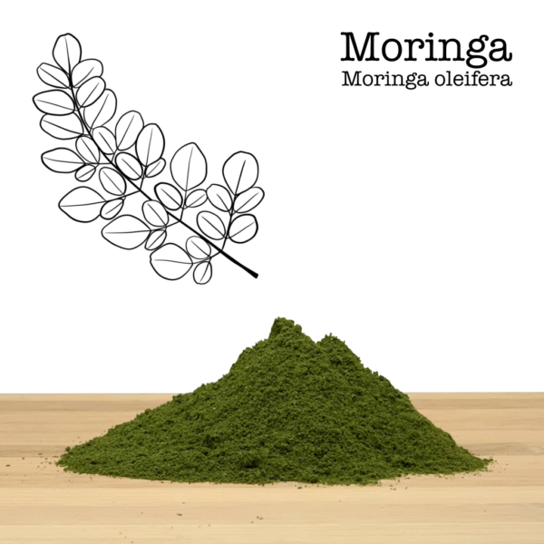 Poudre de Moringa 100% biologique