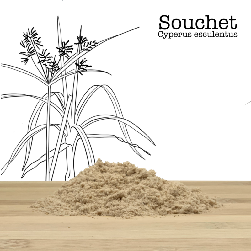 Tigernut Powder Fine texture Composition: 100% Tigernut (Cyperus esculentus)
