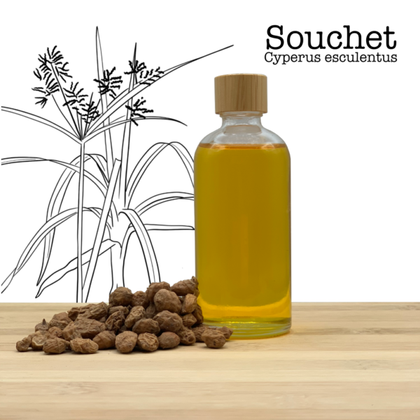 Huile de souchet - Pressée à froid (100% pure) Cyperus esculentus