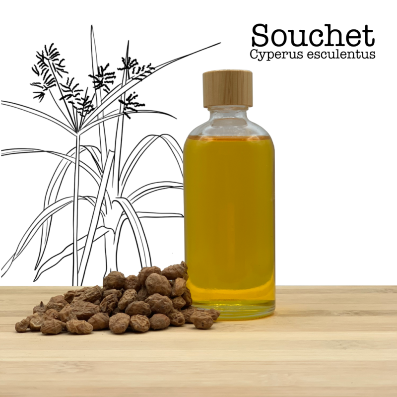 Huile de souchet - Pressée à froid (100% pure) Cyperus esculentus