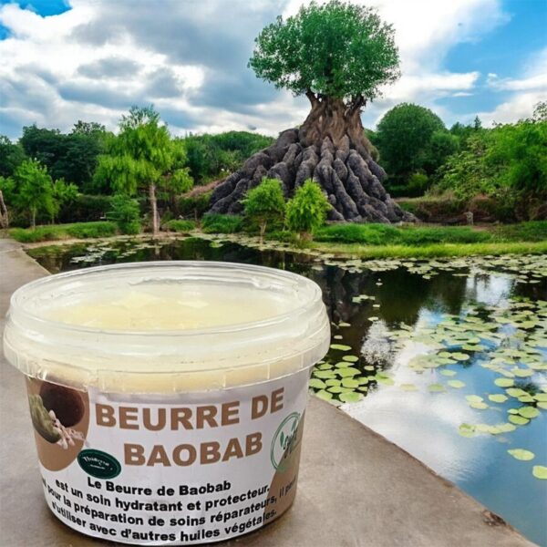 Manteca de Fruto de Baobab Natural