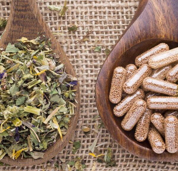 Medicinal plants: natural wisdom at the service of your health