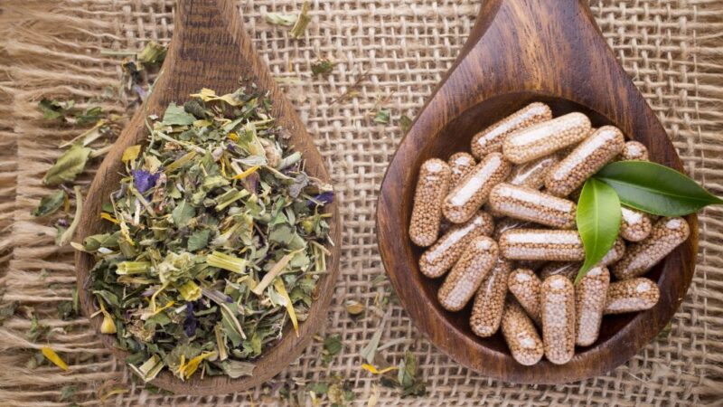 Medicinal plants: natural wisdom at the service of your health