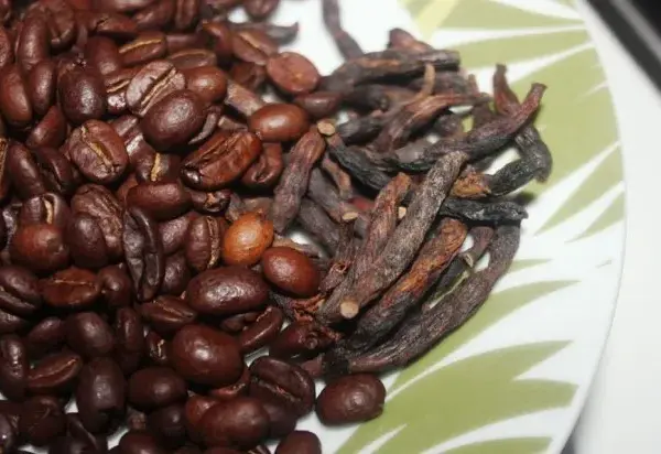 Coffee